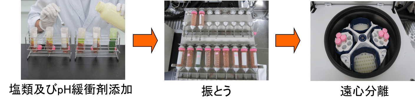 food-evaluation-img03 (1)