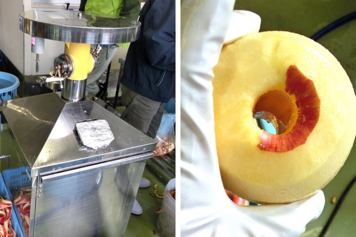 peeling-food01