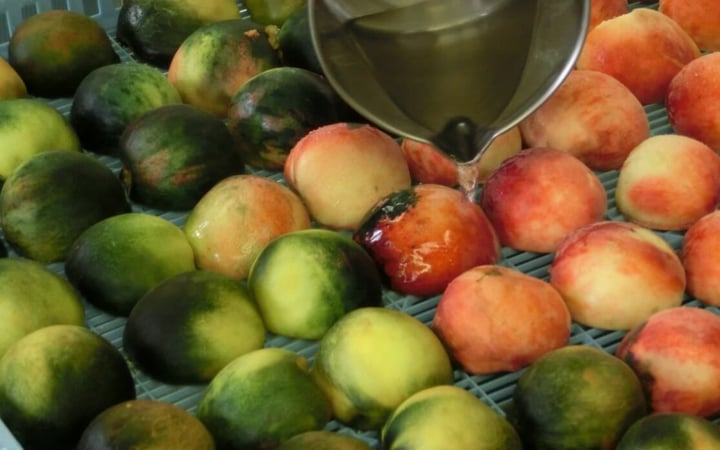 peeling-food03